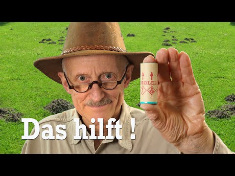 Getting rid of moles - but this time properly!