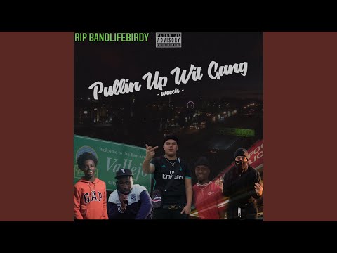 Pullin' Up Wit Gang (feat. Lil Theze, Bandlife Birdy, Bigmoney Quezz & Benji)