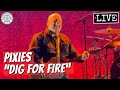 Pixies "Dig for Fire" LIVE