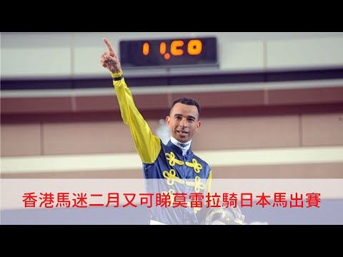 【海外賽馬】馬迷二月底又可以準備彈藥，買莫雷拉的座騎，夥拍日本代表「法老茶座」出戰沙特越洋轉播賽