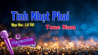 Video hợp âm Tình nhạt phai SỸ BEN & THÁI THÀNH ĐẠT