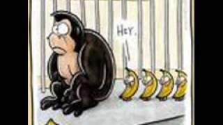 Es geht mir gut von Marius Müller Westernhagen - Video by Thorsten!