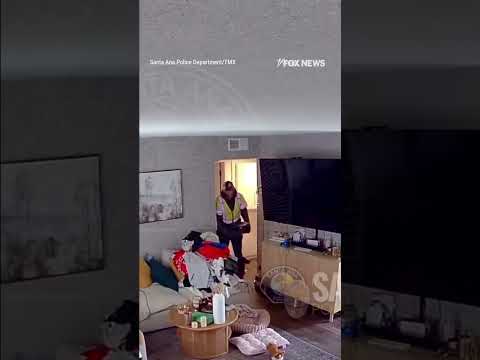 WATCH: Suspect steals $6k, designer items from home #shorts #us #news #foxnews #theft