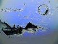 The Comsat Angels Lost Continent (demo version ...