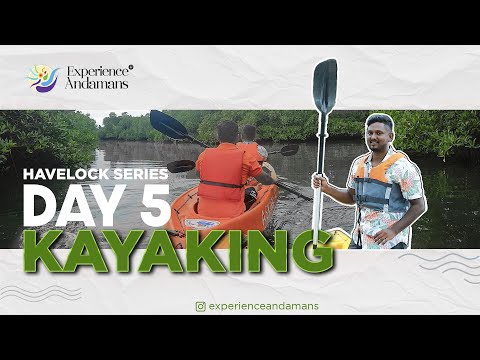 Havelock Guide Ep 5: Kayaking Through the Mangroves #andamanislands #nightkayaking #bioluminescence