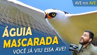 Miniatura do vídeo