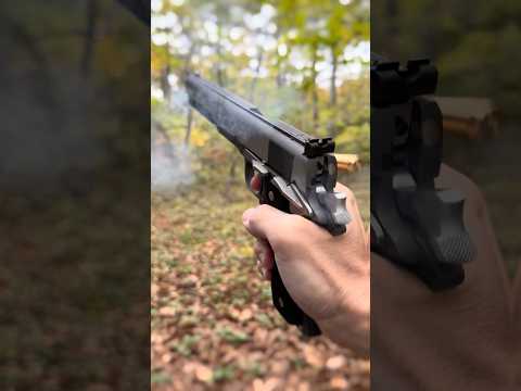 AMT Hardballer Longslide Terminator Model by B.W.C. ハードボーラー 森の朝 #asmr #airsoft #replica