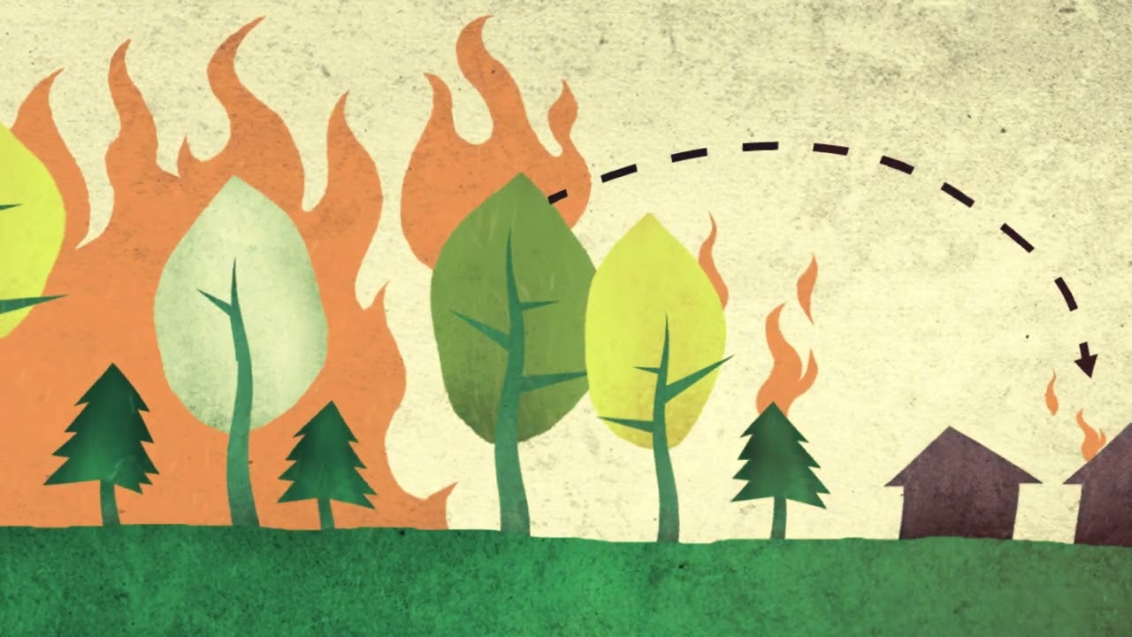 Home Wildfire Preparedness