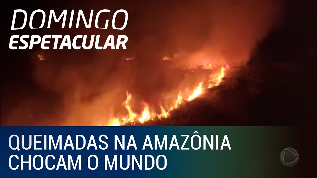 Queimadas na Amazônia chocam o mundo