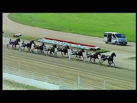 Napoli Trotto 30/04/2021 - 5ª corsa