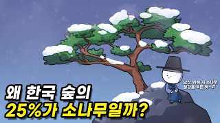 한국에는 소나무가 왜 이렇게 많을 걸까? [한국임업진흥원X사물궁이]
