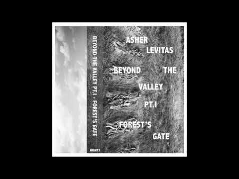 Asher Levitas - Beyond The Valley Pt I 'Forest's Gate'