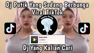 Download lagu DJ PUTIK YANG SEDANG BERBUNGA - DJ HARUSKAH BERAKHIR X PRI PRI VIRAL TIKTOK 2024 !! mp3 Download lagu DJ PUTIK YANG SEDANG BERBUNGA - DJ HARUSKAH BERAKHIR X PRI PRI VIRAL TIKTOK 2024 !! mp3