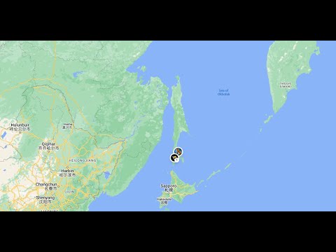 the best clue in geoguessr is...CABBAGE!?!?