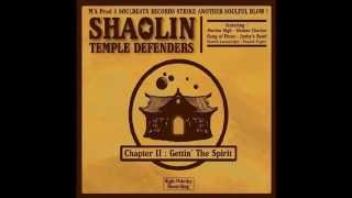 Shaolin Temple Defenders - Watch Your Step