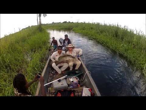 Wild River Fishing PNG, Papuan Black Bass