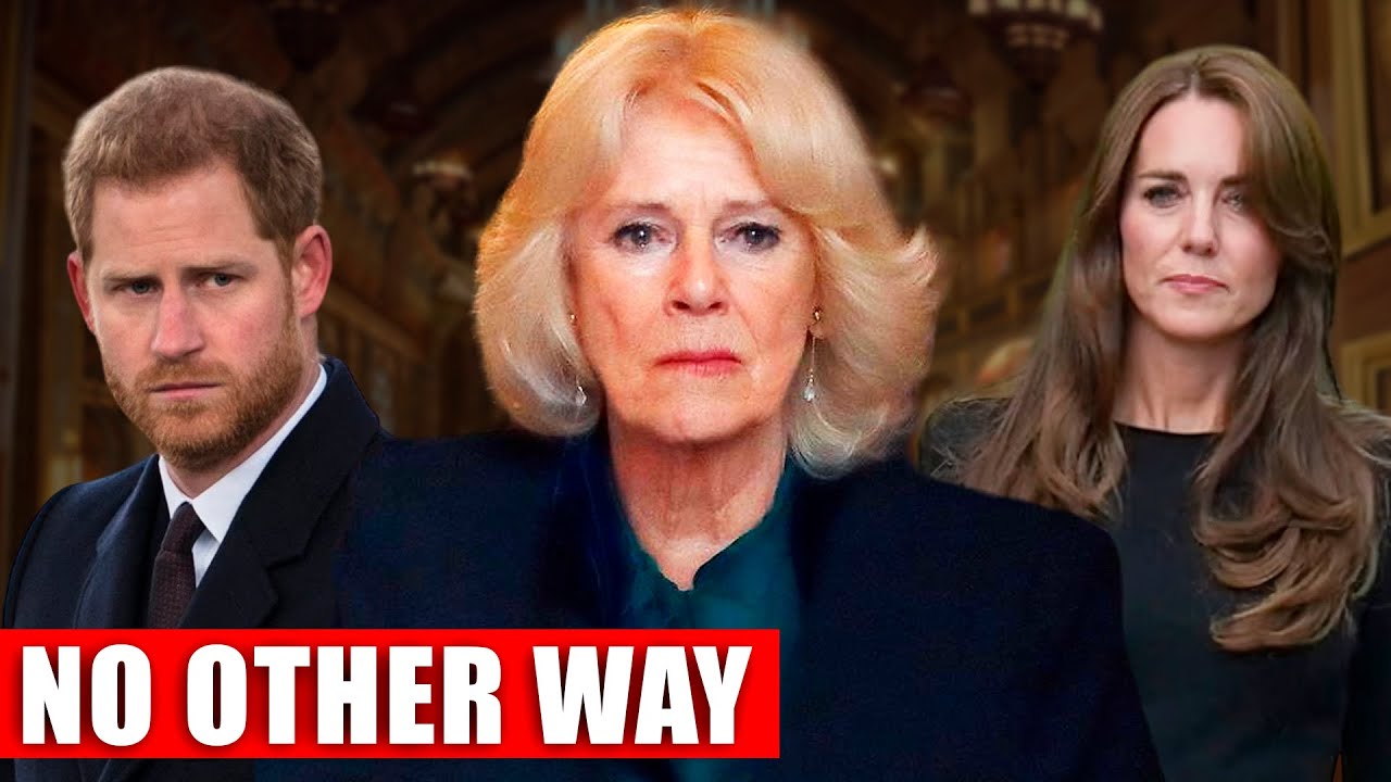 Breaking News Upon returning to the royal family, Prince Harry