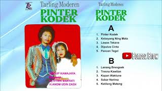 Download lagu PINTER KODEK FULL ALBUM SUARA BENING mp3 Download lagu PINTER KODEK FULL ALBUM SUARA BENING mp3