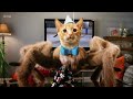 Odd Squad Odd Beginnings Intro Bubble Boo