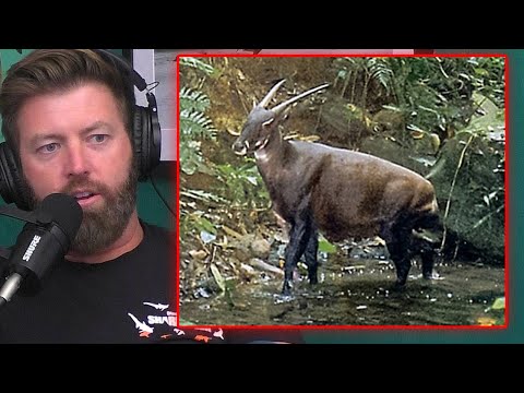 Scientists Have Mapped The Genome of Another Extinct Animal