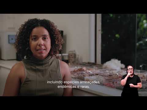 "Ser do Cerrado": resgate de plantas em Grão Mogol (MG)