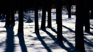 Snowbound by Genesis in 1080p HD