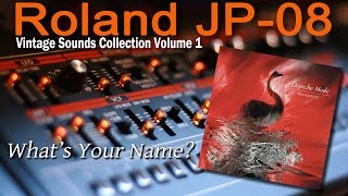 Roland (Boutique) JP-08 Demo Depeche Mode What&#39;s Your Name?