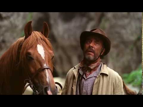 Аткинс/Atkins 1985