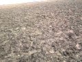 Вот и так бывает, коп x-terra 705 