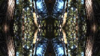 Snake Thing ‎- Strangeness And Charm