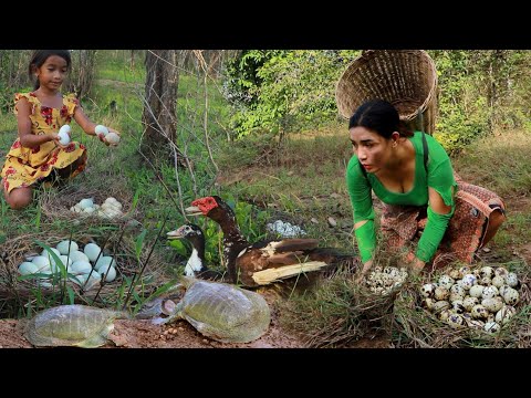 Turtle & baby egg for survival food- Cooking turtle soup & boiled baby egg with vegetable for tasty