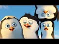 DreamWorks Madagascar Best Penguins Of Madagascar Scenes Funny Action Moments Kids Movies