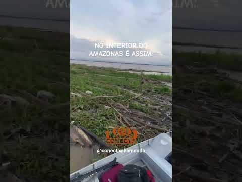 #conectanhamunda #amazonas #musicaconecta #festanacomunidade #viralvideo #youtubeshorts