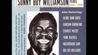 Big Joe Williams, Throw a boogie woogie