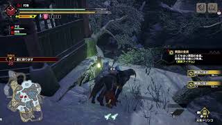 不遇なチャアクでMHR