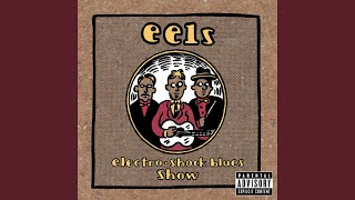 The Medication Is Wearing Off (Live)