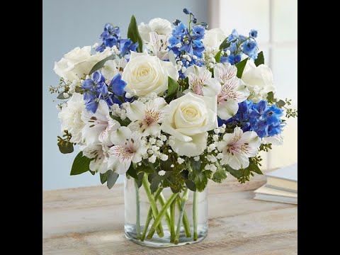Happy Hanukkah! Hanukkah Flowers! 💐 🩵#beautiful #flower #fypシ #rose #hanukkah #hanukkahflowers #fyp