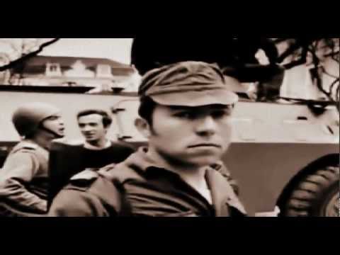 Walid El Sayed- A raiz do problema