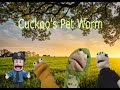 Cuckoo S Pet Worm