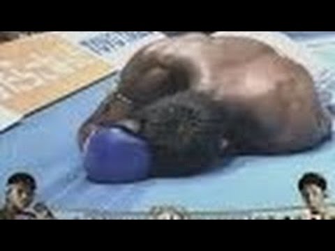 日本人ファイター大快挙！　ブアカーオの生涯唯一のＫＯ負け　キックボクシング