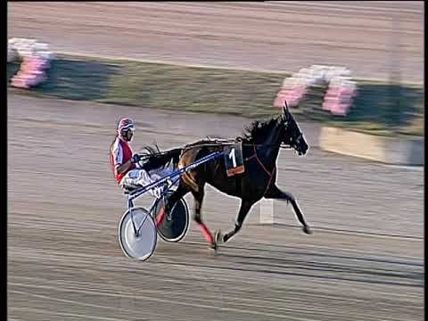 Trotto 20/09/2019 - prova di riqualifica