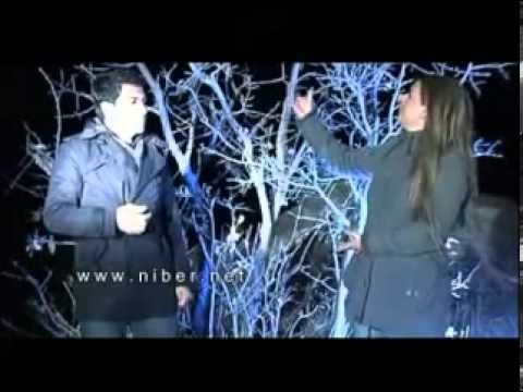 Alin u Hozan Kawa  Berya te