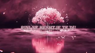 Thisisrini - Në Heshtje Të Du