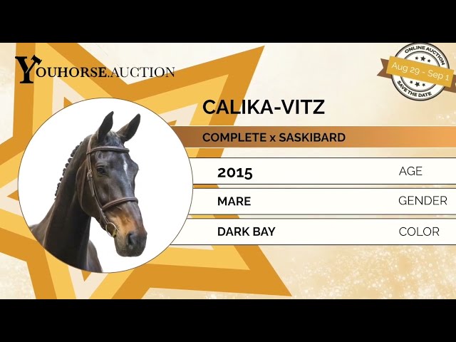 Calika Vitz showvideo
