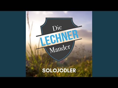Solojodler