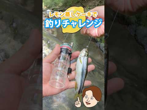 【#渓流釣り】レモン蒸しケーキで魚が釣れるか検証してみた！