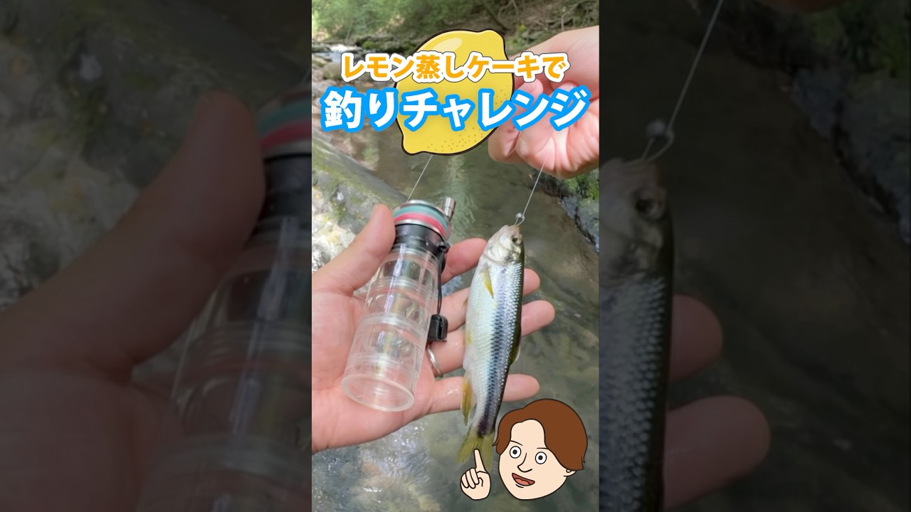 【#渓流釣り】レモン蒸しケーキで魚が釣れるか検証してみた！