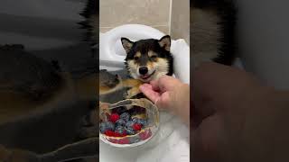 Download lagu ASMR | Manyu's Bubble Bath | Part 1 mp3