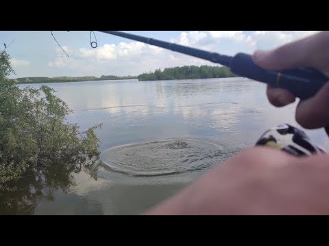 TESTIRANJE GRBAVE, 10 zabačaja, koja ulovi ide u prodaju 😂💪