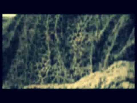 Crase - 23 7 mutterfickerrap (kollegah diss)